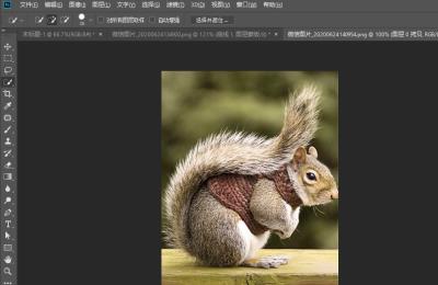 photoshop怎么快速抠动物毛发-PS抠取动物毛发的实用技巧